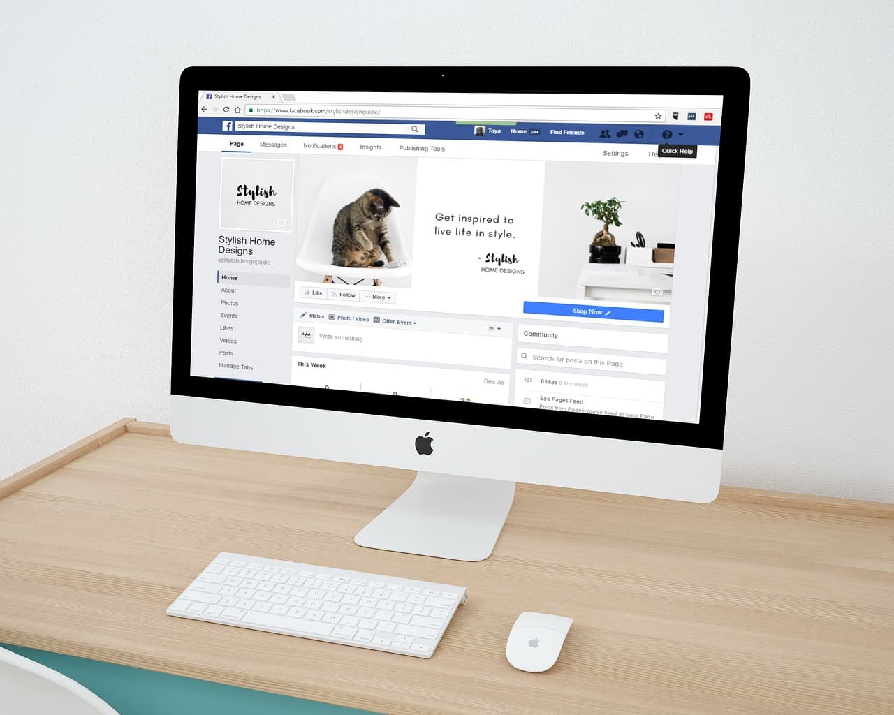 Content Creation & Scheduling